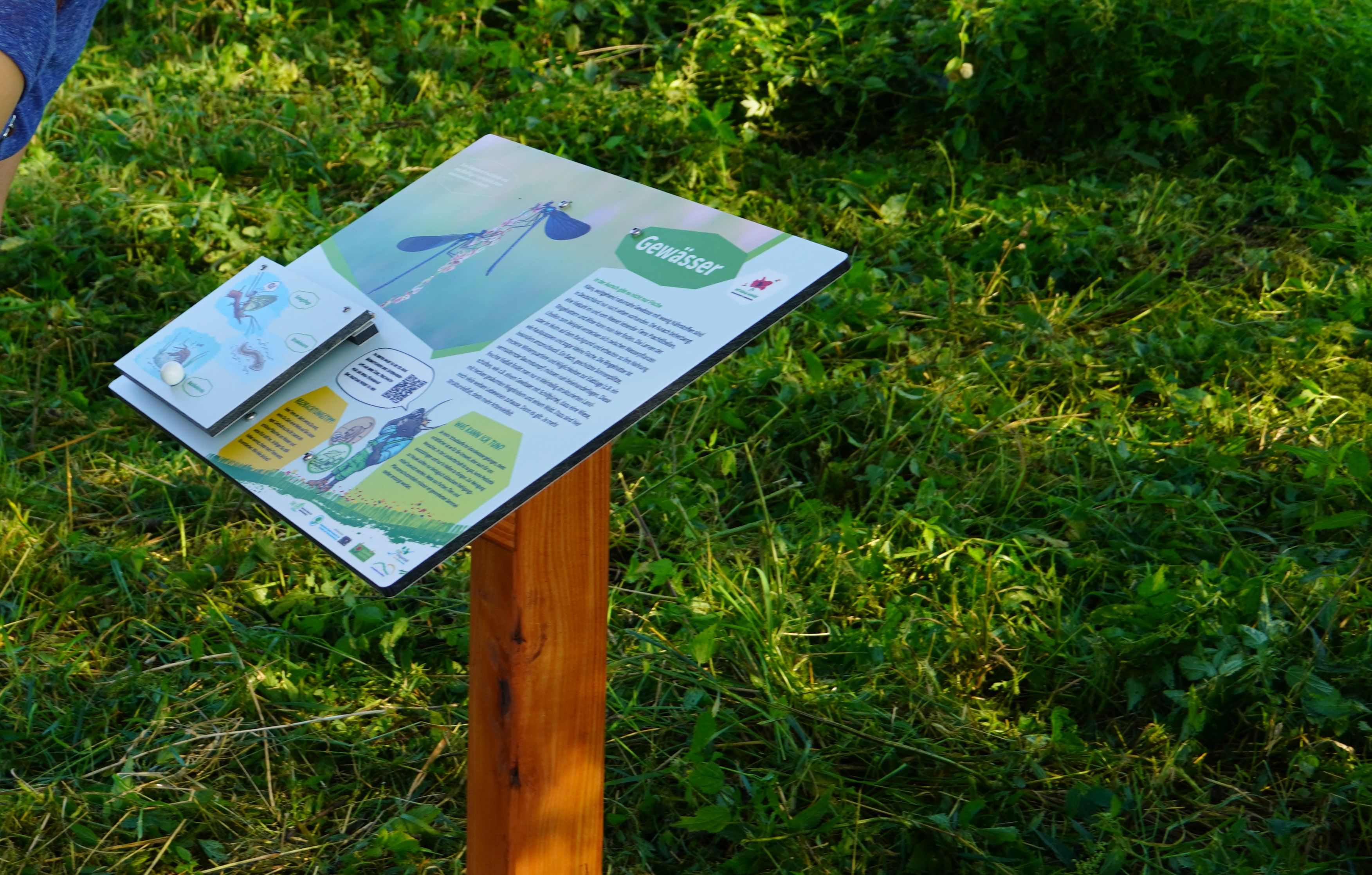 Eine Tafel steht in der Landschaft. Sie ist teil eines Lehrpfades.